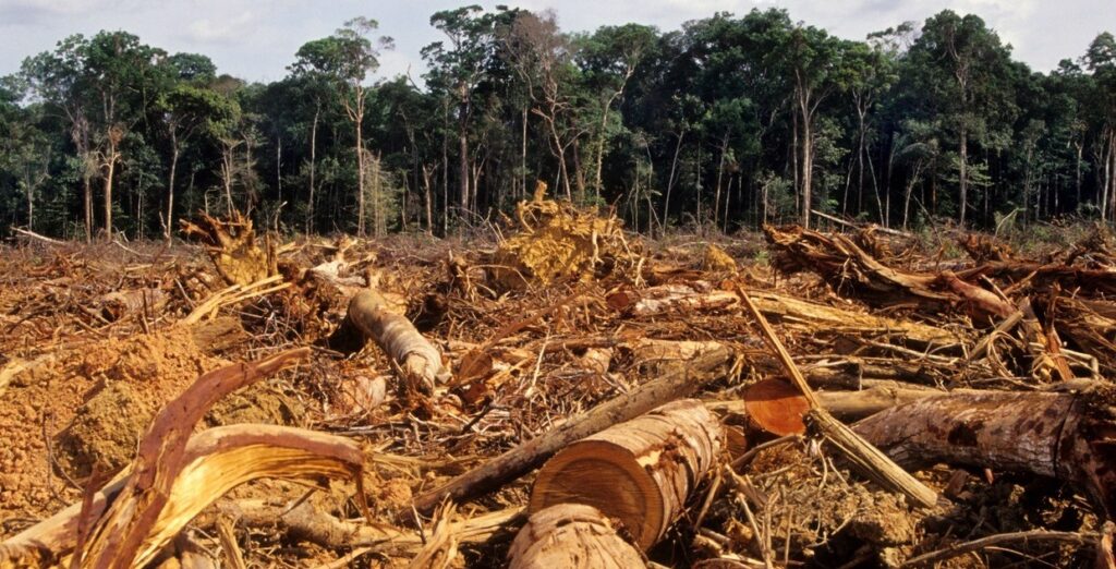 Why Air Pollution is Seasonal in Nature? Wake Up Before It Gets Too Late