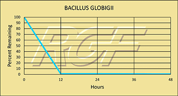 Bacillus-globigii