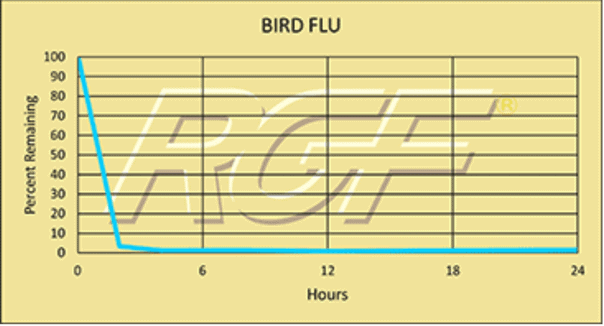 Bird Flu