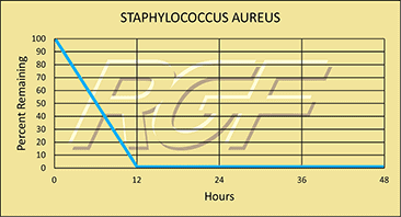 Staphylococcus