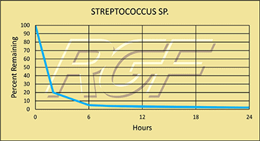 Streptococcus-Sp