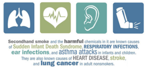 Air Purifier To Remove Cigarette Smoke 4 Air Purifier To Remove Cigarette Smoke